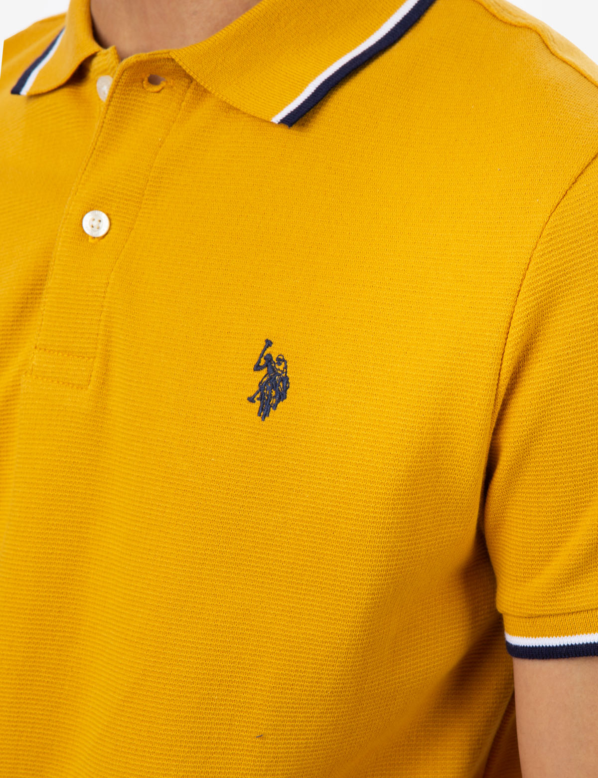Men's Striped Tipped Ottoman Pique Polo Shirt