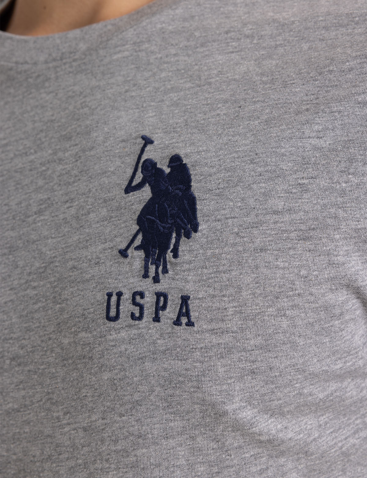 U.S. Polo Assn. Colorblock Graphic T-Shirt for Men